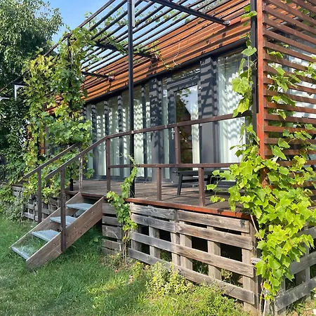 Tinyhaus In Seenaehe Dom wakacyjny Arendsee (Altmarkkreis Salzwedel)