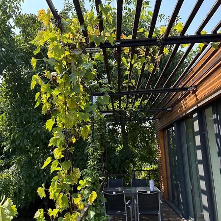 Tinyhaus In Seenaehe * Arendsee (Altmarkkreis Salzwedel)