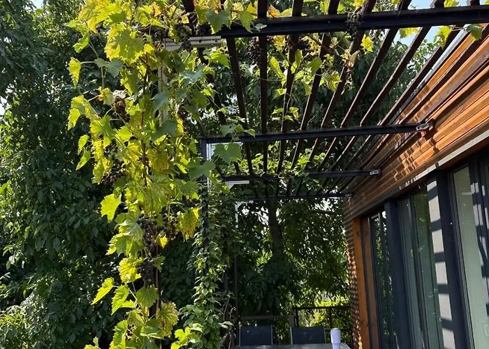 Tinyhaus In Seenaehe * Arendsee (Altmarkkreis Salzwedel)